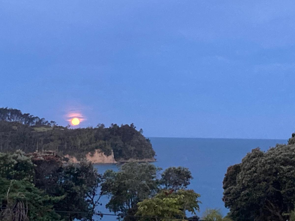 Funky Beach House With Sea And Country Views Orewa Eksteriør billede
